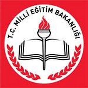 Ünye Atatürk Anadolu Lisesi MERDİVEN FİLESİ